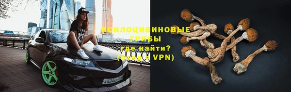 индика Балахна