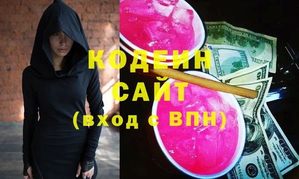 индика Балахна
