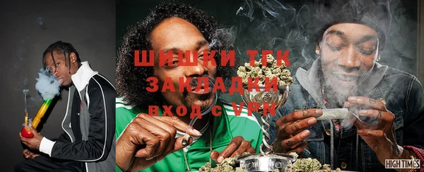 индика Балахна
