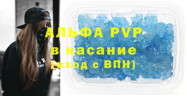 индика Балахна