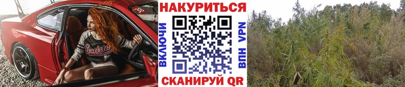 Бошки Шишки LSD WEED  Горняк 